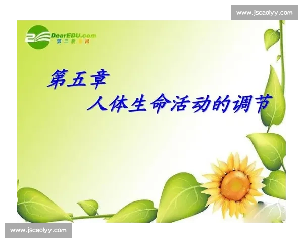 冷热交替下人体生理反应与健康调节全解析