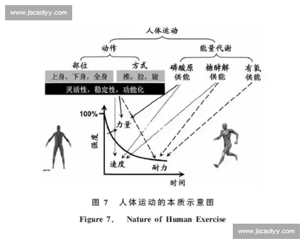 围绕三级跳远运动技术发展训练方法与竞技表现提升的系统研究标题