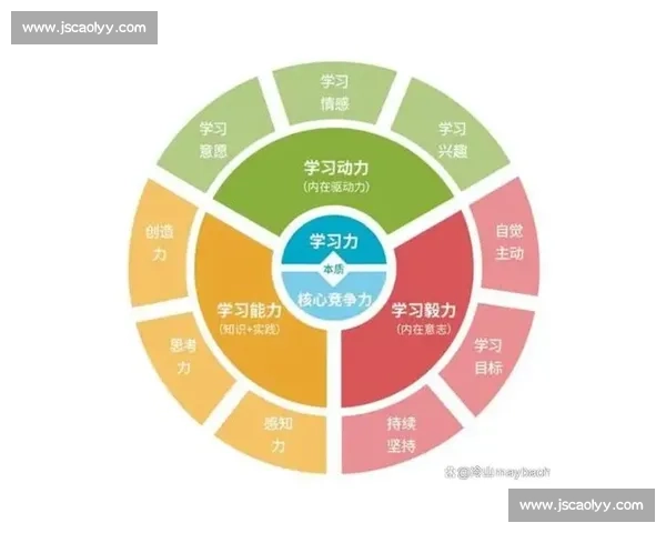 提升个体学习能力的策略与方法探索及实践指导