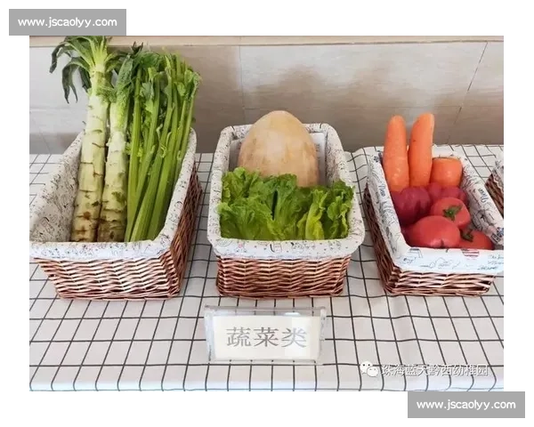 科学体脂管理方案：精准控制体重与健康的全方位指南